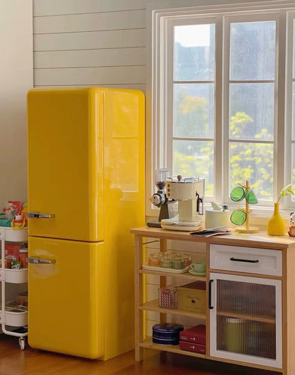 Refrigerator Miniature Food